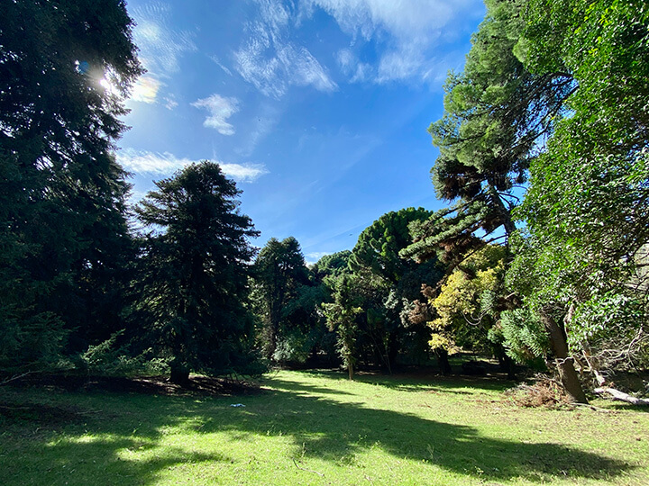 Estancia Las Vertientes – cielo