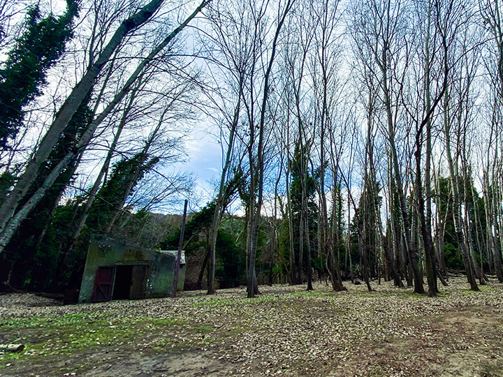 Estancia Las Vertientes – arroyo
