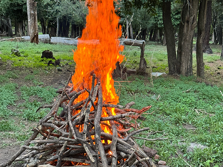 Estancia Las Vertientes – caballos