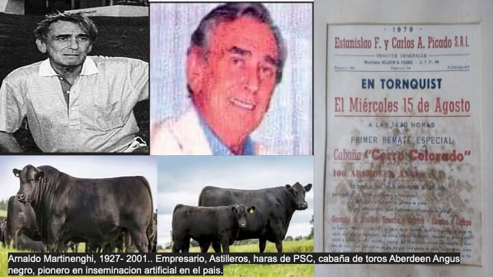 Arnaldo Martinenghi (1927–2001), pionero en inseminación artificial con Aberdeen Angus